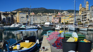 Courtier en Assurance Bastia